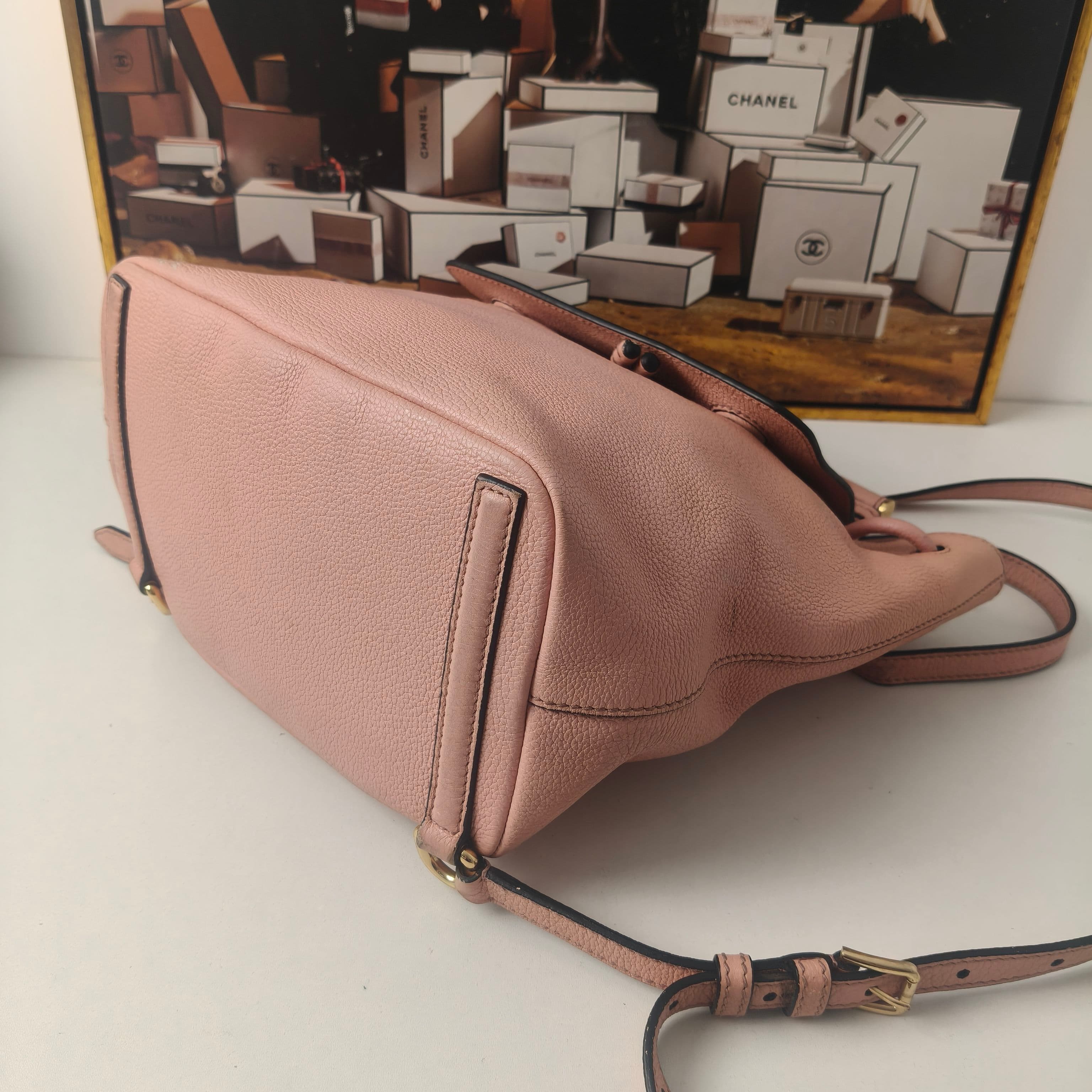 Dolce & Gabbana Pink Leather Backpack 23×14cm – 95% New